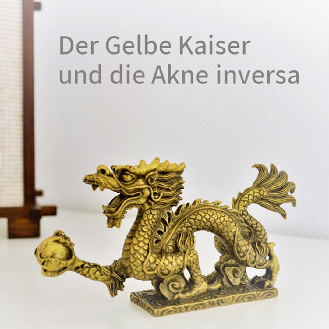 Akne inversa in der Traditionellen Chinesischen Medizin